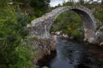 Carrbridge, Badenoch And Strathspey/scotland - May 21 : Packhors Stock Photo