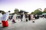 Tokyo,japan-nov 20 :a Japanese Wedding Ceremony At Meiji Jingu S Stock Photo