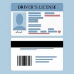 Drivers License Stock Photo