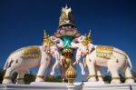 Pink Elephant Statue Decorated Near Sanamluan Stock Photo