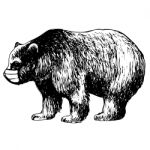 Hand Drawn Illustration Of Bear With Mask Stock Photo