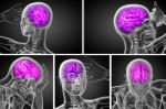 3d Rendering Medical Illustration Of The Brain Stock Photo