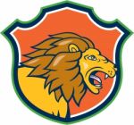 Angry Lion Head Roar Shield Cartoon Stock Photo