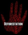 Stop Deforestation Means Cut Down And Caution Stock Photo