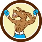 Donkey Boxing Celebrate Circle Cartoon Stock Photo