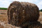 Hay Bale On Freshly Harvested Fields Stock Photo
