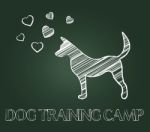 Dog Training Camp Shows Instruction Taught And Canine Stock Photo