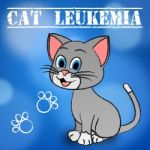 Cat Leukemia Indicates Bone Marrow And Cancer Stock Photo