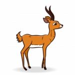 Antelope Cartoon -  Illustration Stock Photo
