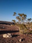 Mountains, Dry Tree And Desert Landscape Stock Photo