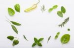 Various Fresh Herbs For Cooking Ingrediens Peppermint , Sweet Ba Stock Photo