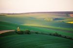 Spring Green Fields. Beautiful Wavy Spring View. Spring Rolling Stock Photo