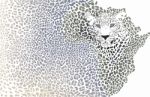 African Leopard - Background Of The Continent Map Stock Photo
