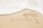 Inscription Of The Word Summer And Palm Tree Drawing On Wet Yell Stock Photo