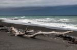 Driftwood On Rarangi Beach Stock Photo