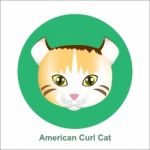 Cartoon American Curl Cat In Circle  Illustration Stock Photo