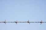 Rusty Barbed Wire Stock Photo