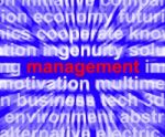 Management Word Stock Photo