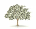 Tree Money Stock Photo