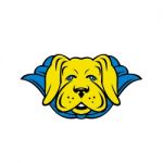 Super Yellow Lab Dog Wearing Blue Cape Stock Photo