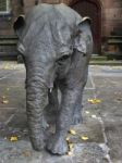 Janya Elephant Sculpture In Chester Cheshire Stock Photo