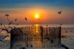 Sunset With Silhoutte Of Birds Flying Stock Photo