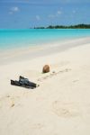 Maldives Concept With Coconut Fruit And Snorkeling Equipment Stock Photo