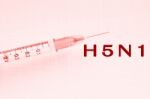 H5n1 Virus,avian Influenza Concept Stock Photo