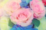 Flowers Arrangements - Spring Roses Celebration Bouquet Pastel Stock Photo