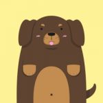 Cute Big Fat Dachshund Dog Stock Photo