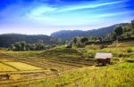 Rice Field And Mountain View Stock Photo