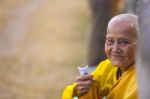 An Unidentified Old Buddhist Female Monk Dressed In Yellow Toga Stock Photo