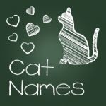 Cat Names Represents Feline Identity And Cats Stock Photo