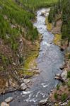 View Of The Gibbon River In Yellowstone Stock Photo