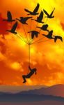 Flying Girl With Wild Geese And Orange Sky Stock Photo