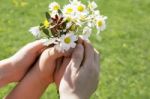 Mother And Your Child Holding A Beatiful Spring Flower Bouquet Stock Photo