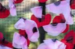 East Grinstead, West Sussex/uk - August 18 : Artificial Poppies Stock Photo