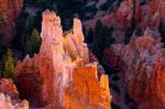 Bryce Canyon Sculpted By The Elements Stock Photo