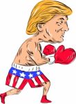 Trump 2016 Election Boxing Stock Photo