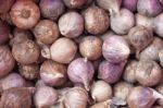 Single Clove Garlic Closeup Stock Photo