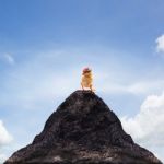 Young Kid Chick Baby Standing On Top Peak Of Mountain Abstract F Stock Photo
