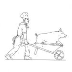 Chef With Wheelbarrow And Pig Drawing Black And White Stock Photo