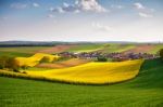 Austria Spring Colza Fields. Village On A Hills Stock Photo