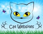 Cat Websites Indicates Cats Kitten And Puss Stock Photo