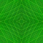 Leaf Abstract Stock Photo