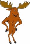 Moose Standing Hands Akimbo Cartoon Stock Photo