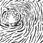 Seamless Background Tiger, Latin Panthera Tigris Tigris Stock Photo