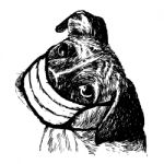 Illustration Of Boxer Dog With Mask Stock Photo