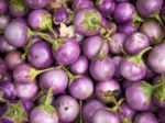 Purple Eggplants Stock Photo