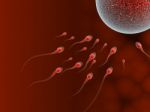 Sperm Attack Stock Photo